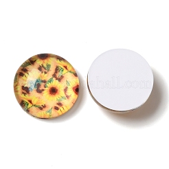 Glas cabochons GLAA-B011-13
