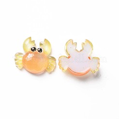 Transparente Epoxidharz-Cabochons CRES-S365-47