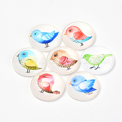 Cabochons aus bedrucktem Glas mit flachem Rücken GGLA-Q056-012-20mm