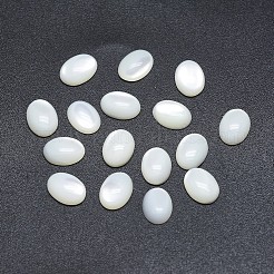 Shell Cabochons SSHEL-P015-59F