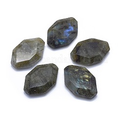 Natur Labradorit Cabochons G-L514-008