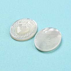 Natürliche Muschel-Cabochons SHEL-D079-19