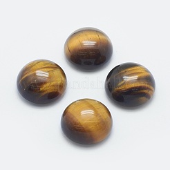 Natürlichen Tigerauge Cabochon G-G759-H01