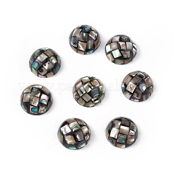 Synthetische Abalone-Muschel-/Paua-Muschelperlen SSHEL-K001-001D