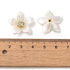Messing Cabochons FIND-K016-01B