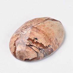 Natur Bildjaspisses cabochons G-F296-11-25x35mm