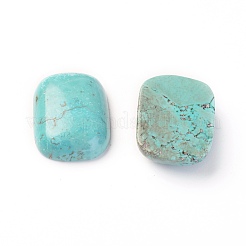 Natur Howlite Cabochons TURQ-L031-039A