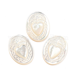 Natürliche Muschel-Cabochons SHEL-D079-19
