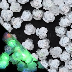 Leuchtende Decoden-Cabochons aus Harz RESI-K036-41