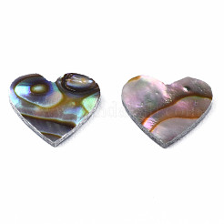 Natürliche Abalone Muschel / Paua Muschel Cabochons SSHEL-N034-117
