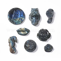 Natur Labradorit Cabochons G-G985-04
