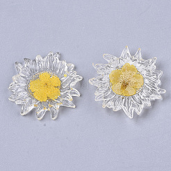 Transparente klare Epoxidharz-Cabochons CRES-N025-02B