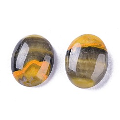 Natürliche Hummel Jaspis Cabochons G-A179-01D