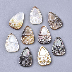 Natürliche schwarze Lippe Shell Cabochons SHEL-R047-09