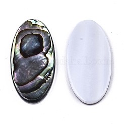 Natürliche Abalone Muschel / Paua Muschel Cabochons SSHEL-N034-74