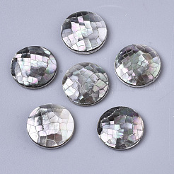 Natürliche schwarze Lippe Shell Cabochons SSHEL-N034-46