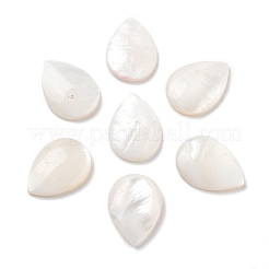 Natürliche Süßwasser Muschel Cabochons SHEL-D082-01A