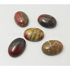 Polychromer Jaspis/Picasso-Stein/Picasso-Jaspis-Cabochons X-G-H1529-1