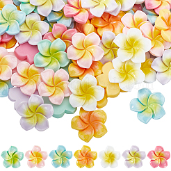 70 Stück 7 Farben undurchsichtige Harz-Decoden-Cabochons RESI-SC0005-83B