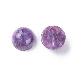 Natürliche Charoite Cabochons G-E557-08A
