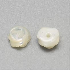 Natürliche weiße Muschel Perlmutt Muschel Cabochons SSHEL-R042-10