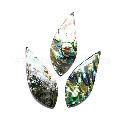 Natürliche Abalone Muschel / Paua Muschel Cabochons SHEL-K008-03