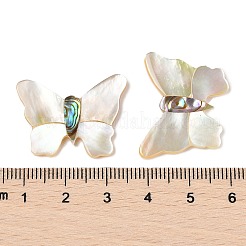 Natürliche weiße Muschel- und Paua-Muschel-Cabochons SSHEL-I026-27