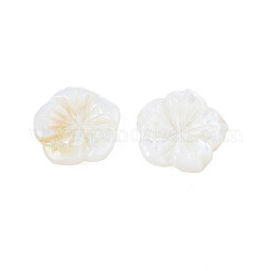 Natürliche Süßwasser Muschel Cabochons SHEL-N026-183