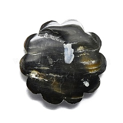 Natürlichen Shell Cabochons SHEL-K008-09