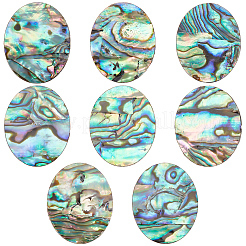 Natürlichen Muschel Cabochons SHEL-BC0001-029A