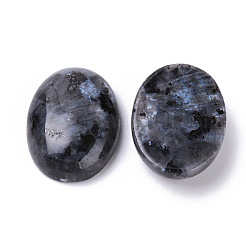 Natürliche Larvikit-Cabochons G-T062-19