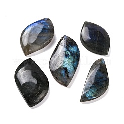 Natur Labradorit Cabochons G-B085-05