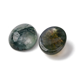 Natur Moos Achat Cabochons G-H314-01