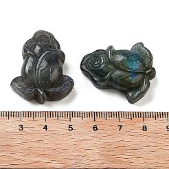 Natürlicher Labradorit geschnitzte Cabochons G-C152-08