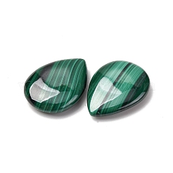 Natur Malachit Cabochons G-D312-01