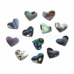 Natürliche Abalone Muschel / Paua Muschel Cabochons SSHEL-N034-117