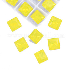 K9 Glas Strass Cabochons MRMJ-N029-19-01