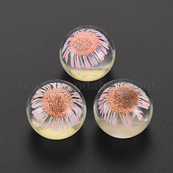Transparentem Acryl Cabochons TACR-N006-62C
