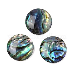 Natürlichen Muschel Cabochons SSHEL-I026-20C