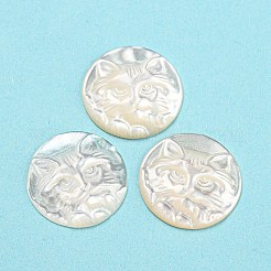 Natürliche Muschel-Cabochons SHEL-D079-23
