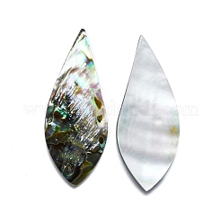 Natürliche Abalone Muschel / Paua Muschel Cabochons SHEL-K008-03