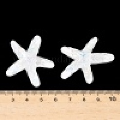 UV-Beschichtung transparente Harz-Cabochons mit Ozeanmotiv CRES-D306-01A