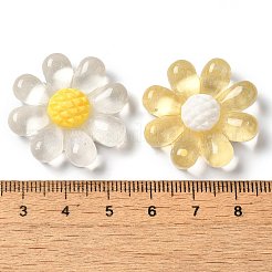 Durchscheinende Decoden-Cabochons aus Harz RESI-M041-08