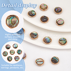 20 Stück natürliche Abalone Muschel/Paua Muschel Kupferdraht gewickelt flache runde Cabochons FIND-BC0005-40