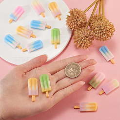 Decoden-Cabochons aus Harz RESI-CJ0001-103