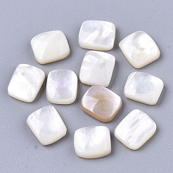 Natürliche weiße Muschel Perlmutt Muschel Cabochons X-SHEL-R047-15