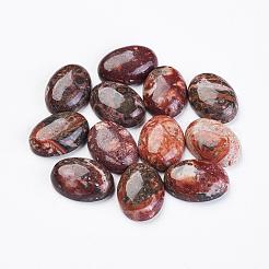 Natürliche Jaspis-Cabochons aus Leopardenhaut G-LS18x13x10