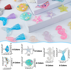 35 Stück 35 Stile durchscheinende Harz Meerestier Decoden Cabochons RESI-FH0001-63