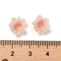 Leuchtende Decoden-Cabochons aus Harz RESI-K036-06H