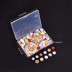 Harz Cabochons CRES-AR0001-01